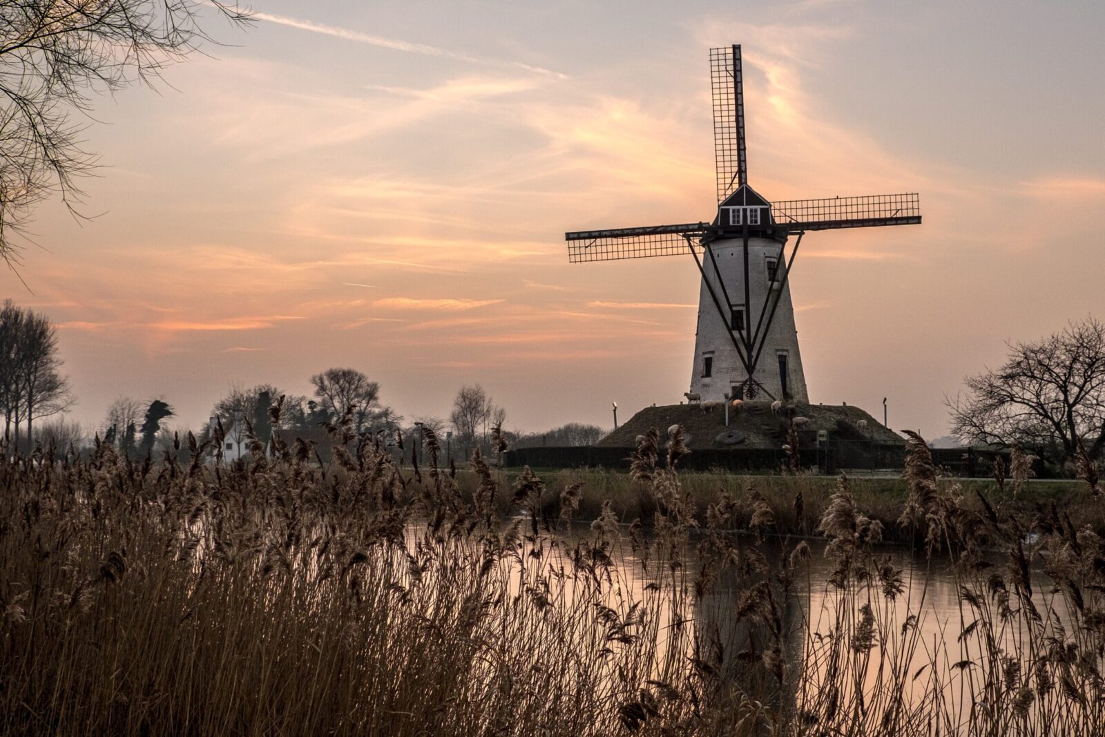 A windmill fantail converting a change in wind direction into mechanical correction